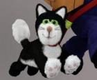 Jess kedi, her zaman Postacı Pat eşlik siyah ve beyaz bir kedi